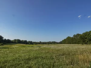 rural land