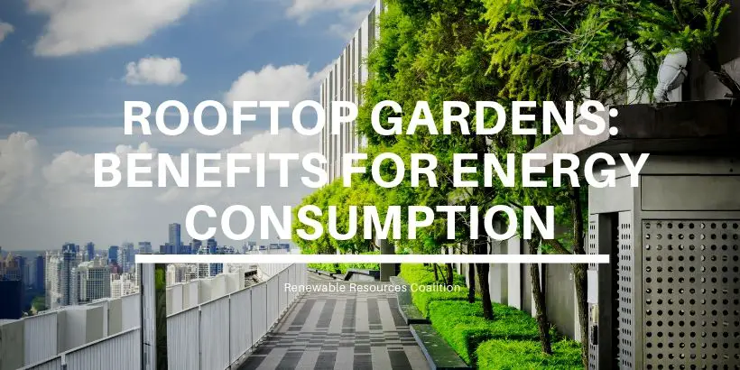 Rooftop Gardens Their Effect On Energy Consumption 2020 S Guide