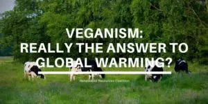 Veganism Really the Answer to Global Warming