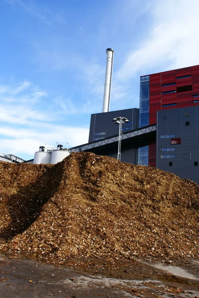 A biomass power plant that burns chipped trees to generate electricity - causing deforestation.