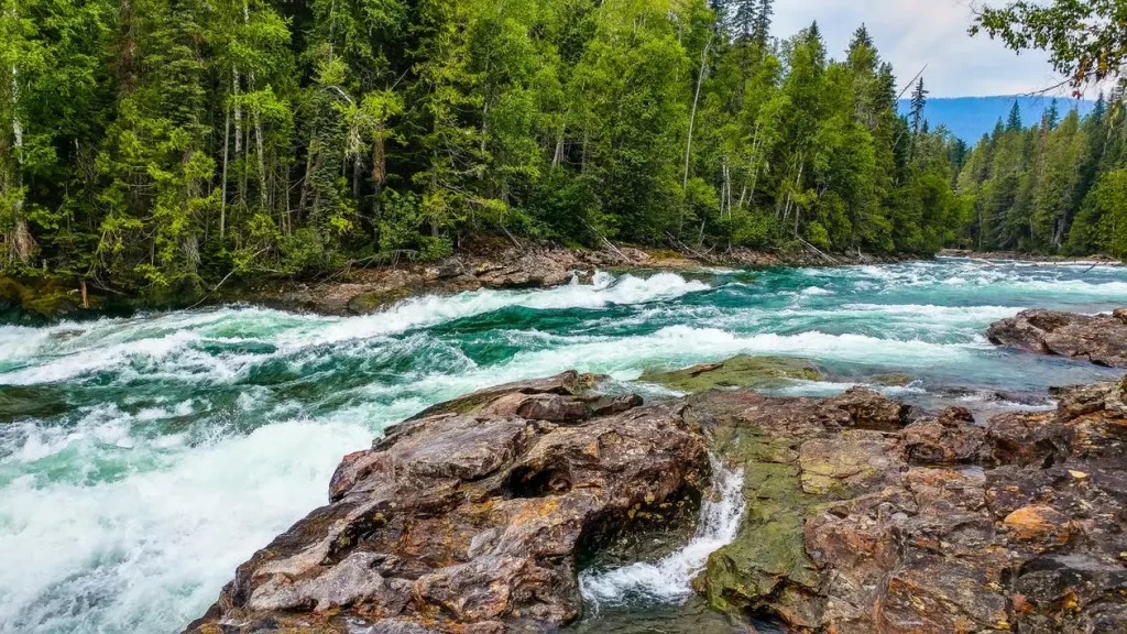 A pure freshwater river that is essential for life on land.