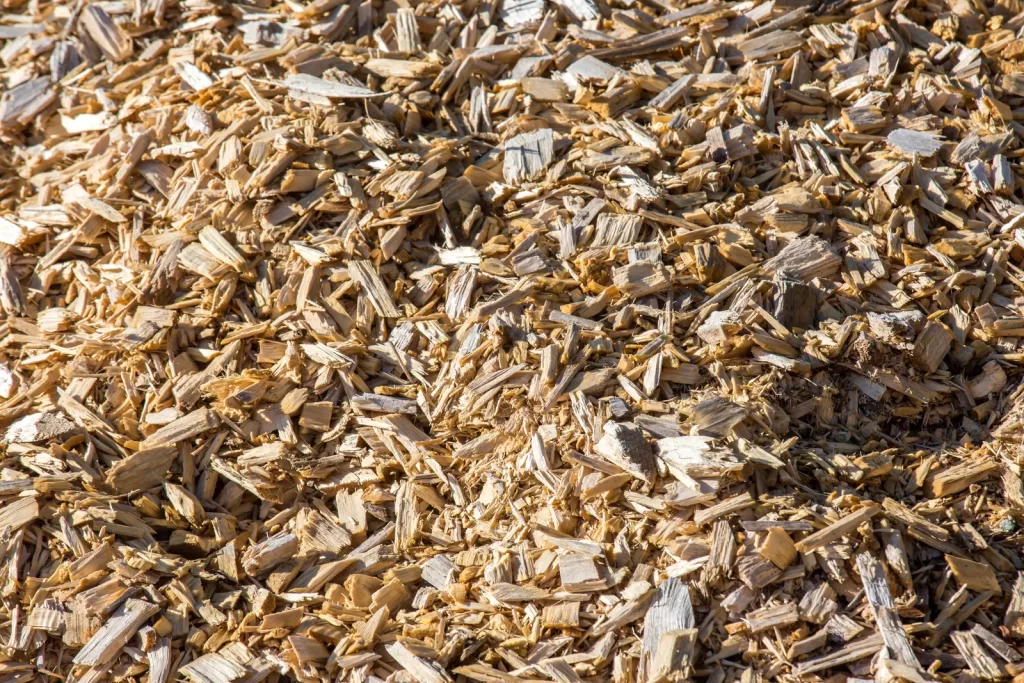 wood chips biomass pile