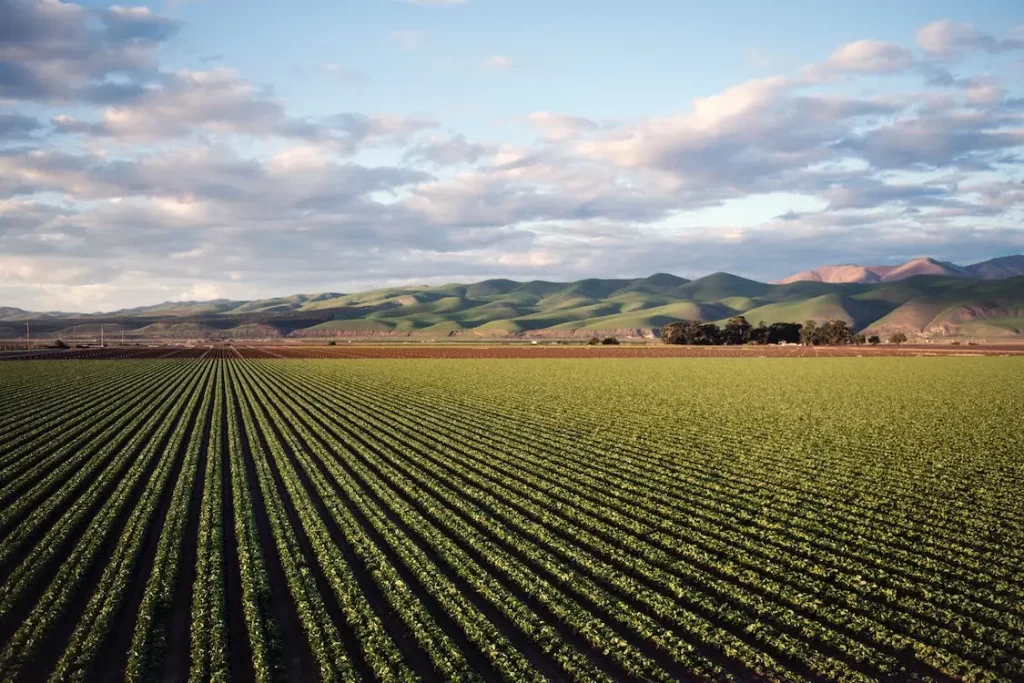 A large agricultural field that receives chemical fertilizers contributes to air pollution.