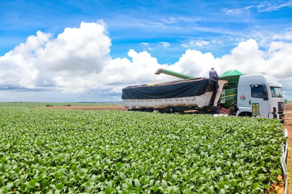 Intensive farming practices in Brazil bring wealth to the area and help to feed the population.