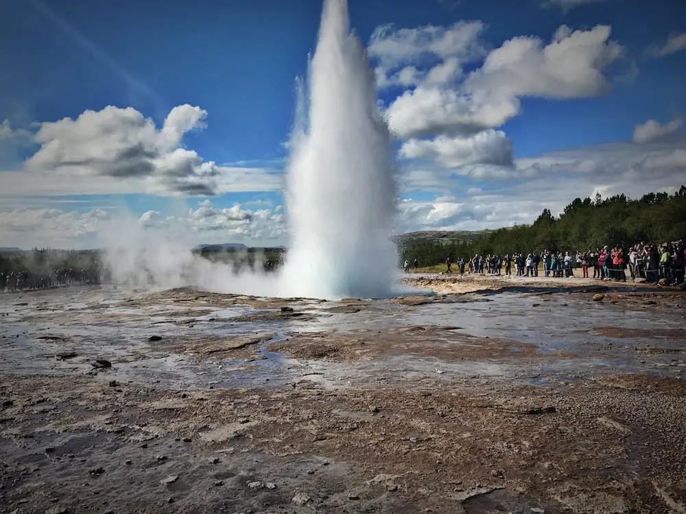 People watching a geothermal geyser erupt in Yellowstone National Park.
