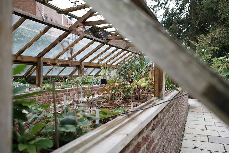 This greenhouse is full of young plants that are kept warm with passive geothermal heat pumped through water tubes.