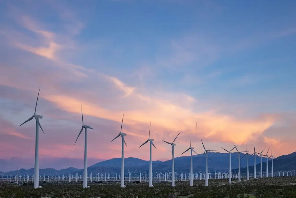 A wind farm in Palm Springs, California helps to fight air pollution while providing the community with renewable energy.