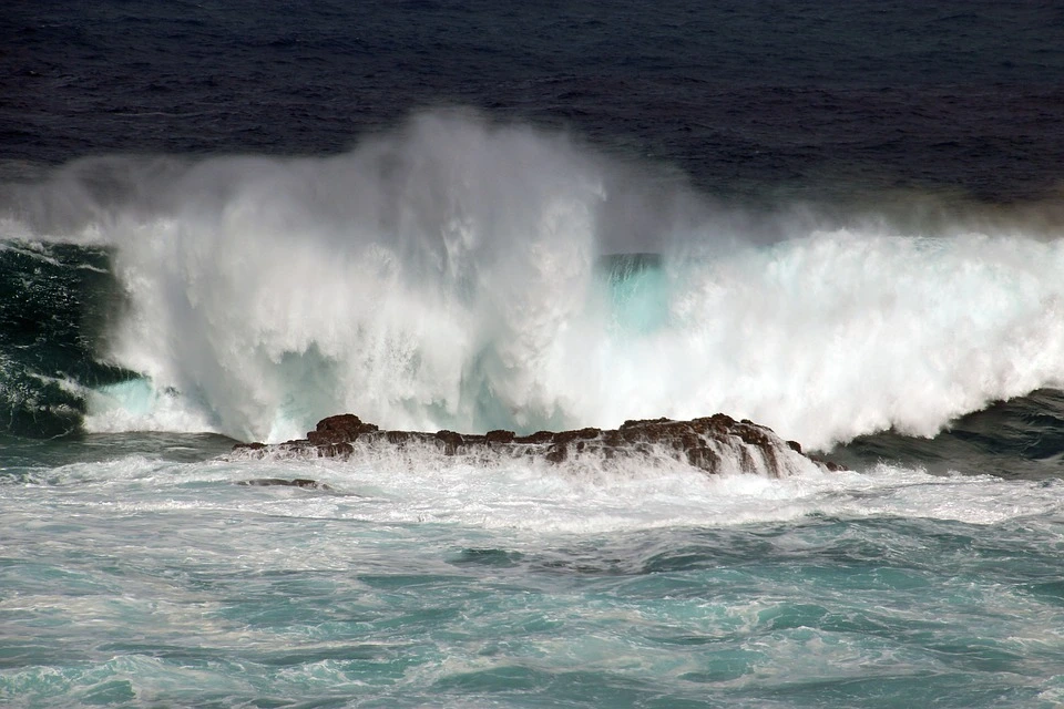 A large, green wave in the Pacific that's rolling in on the high tide.