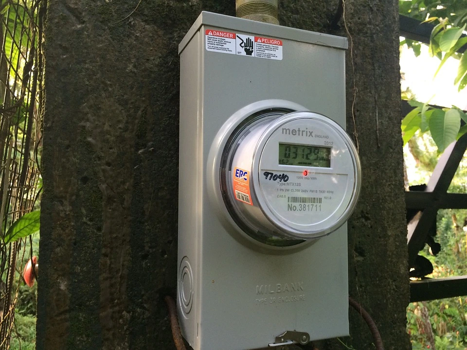 A net usage electricity meter attached to a tree where it monitors the amount of solar energy fed into the public utility grid.