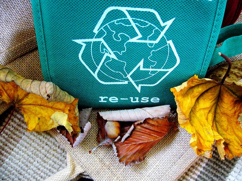 A reusable shopping bag made from recycled plastic surrounded by dry leaves.