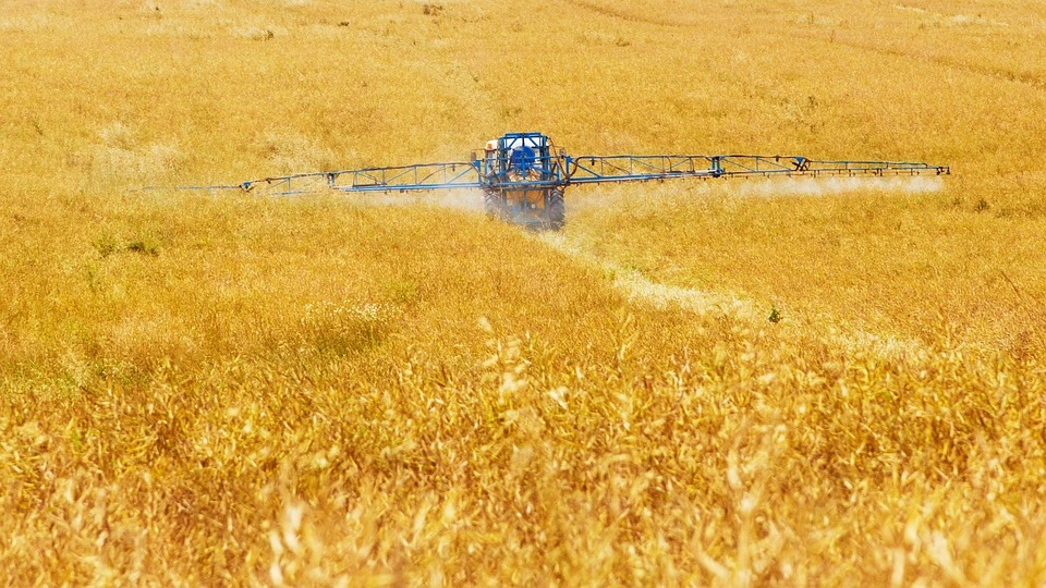 A tractor spraying pesticides on a field of maturing wheat.